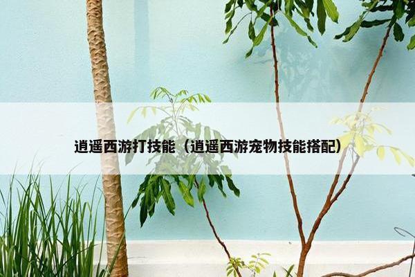 逍遥西游打技能（逍遥西游宠物技能搭配）