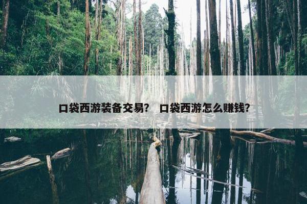 口袋西游装备交易？ 口袋西游怎么赚钱？
