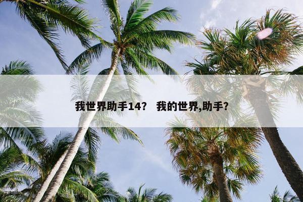 我世界助手14？ 我的世界,助手？