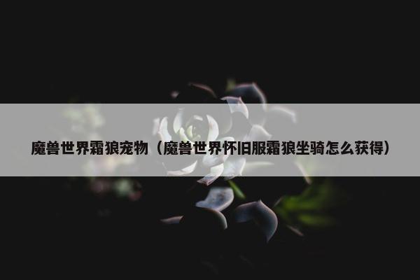 魔兽世界霜狼宠物（魔兽世界怀旧服霜狼坐骑怎么获得）