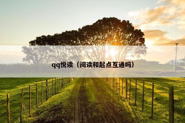 qq悦读（阅读和起点互通吗）