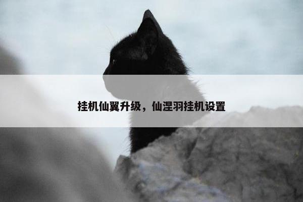 挂机仙翼升级，仙涅羽挂机设置