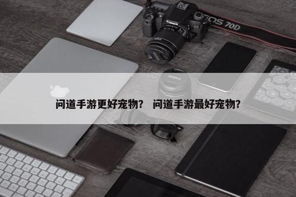 问道手游更好宠物？ 问道手游最好宠物？