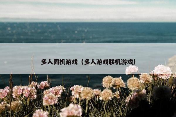 多人同机游戏（多人游戏联机游戏）