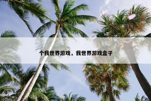 个我世界游戏，我世界游戏盒子