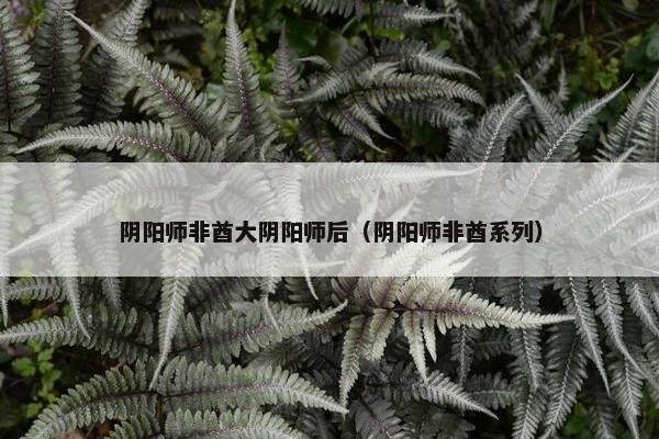 阴阳师非酋大阴阳师后（阴阳师非酋系列）