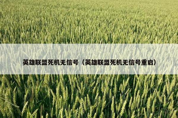 英雄联盟死机无信号（英雄联盟死机无信号重启）