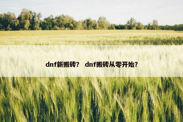 dnf新搬砖？ dnf搬砖从零开始？