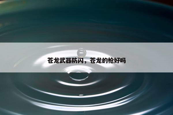 苍龙武器防闪，苍龙的枪好吗