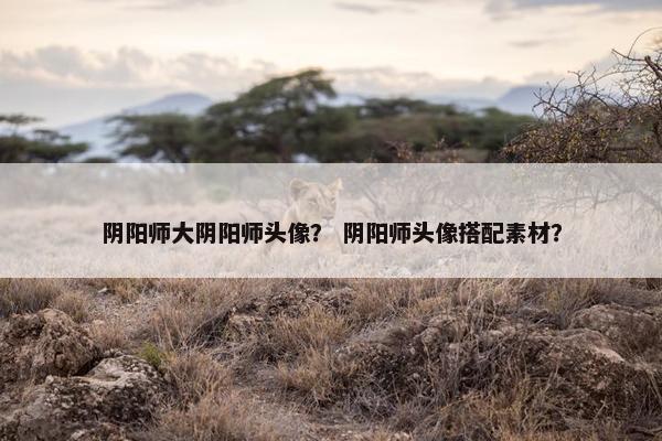 阴阳师大阴阳师头像？ 阴阳师头像搭配素材？