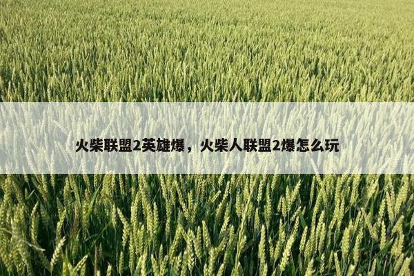 火柴联盟2英雄爆，火柴人联盟2爆怎么玩