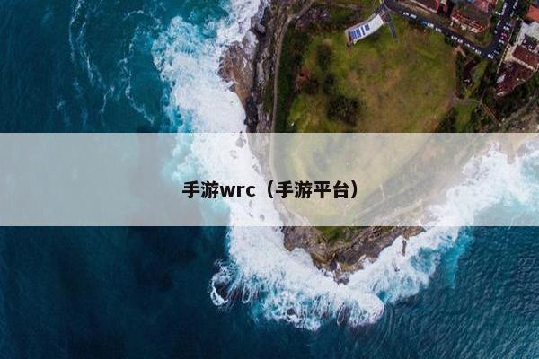 手游wrc（手游平台）
