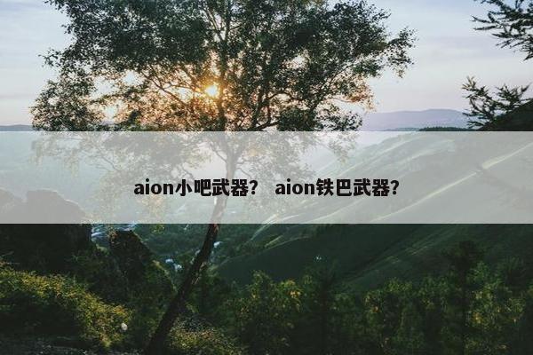 aion小吧武器？ aion铁巴武器？