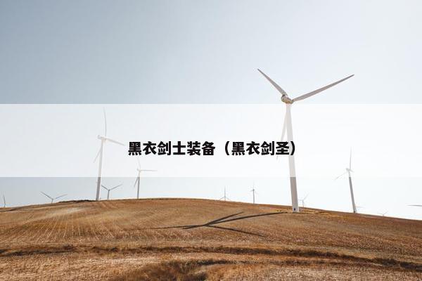 黑衣剑士装备（黑衣剑圣）