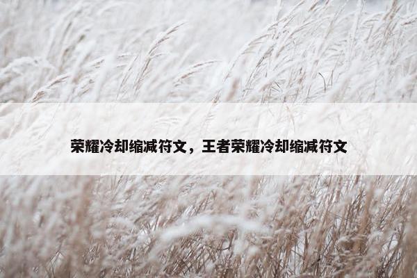 荣耀冷却缩减符文，王者荣耀冷却缩减符文