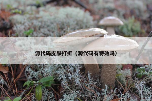 源代码皮肤打折（源代码有特效吗）