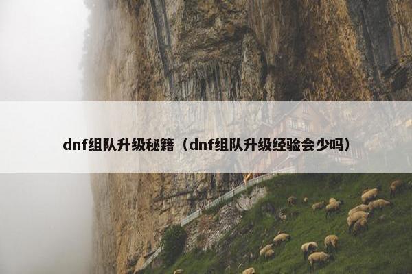 dnf组队升级秘籍（dnf组队升级经验会少吗）