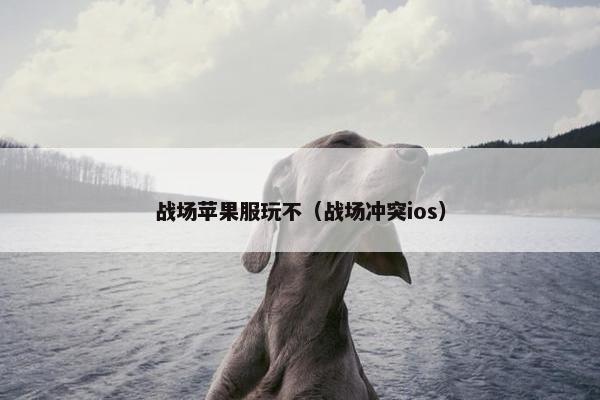 战场苹果服玩不（战场冲突ios）