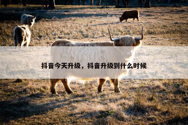 抖音今天升级，抖音升级到什么时候
