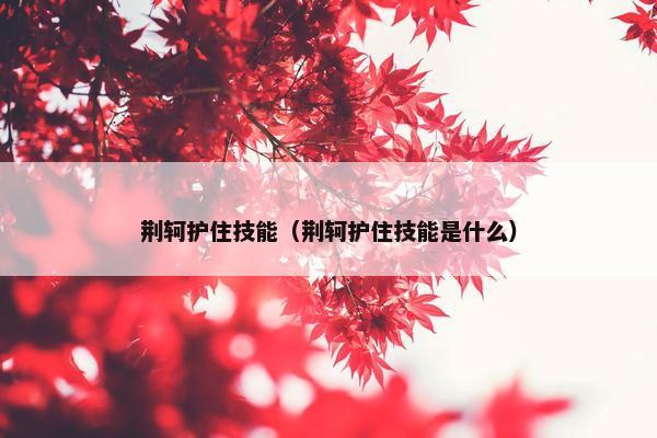 荆轲护住技能（荆轲护住技能是什么）