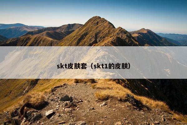 skt皮肤套（skt1的皮肤）