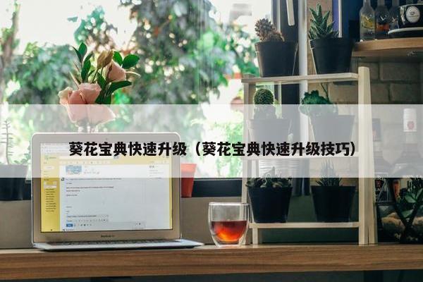 葵花宝典快速升级（葵花宝典快速升级技巧）