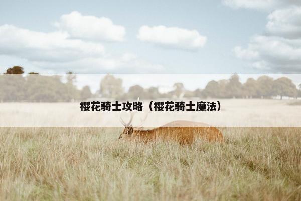 樱花骑士攻略（樱花骑士魔法）