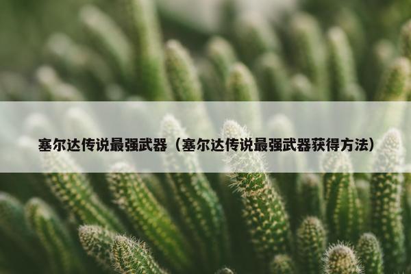 塞尔达传说最强武器（塞尔达传说最强武器获得方法）