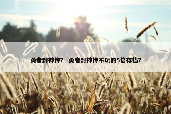 勇者封神传？ 勇者封神传不玩的5倍存档？