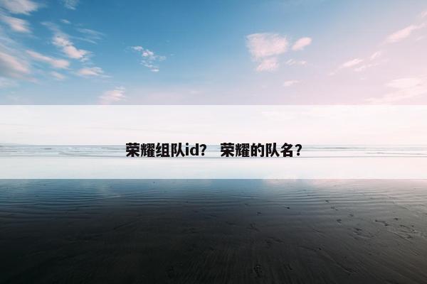 荣耀组队id？ 荣耀的队名？