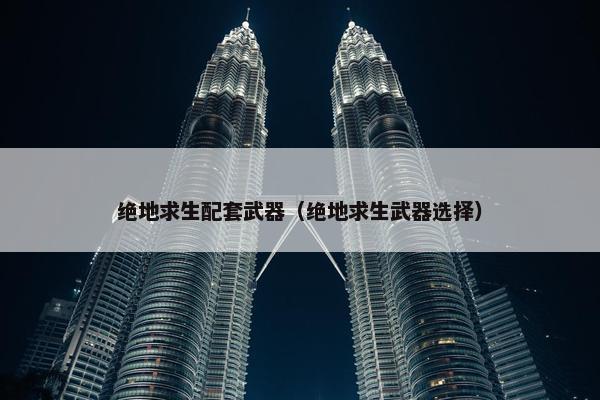 绝地求生配套武器（绝地求生武器选择）