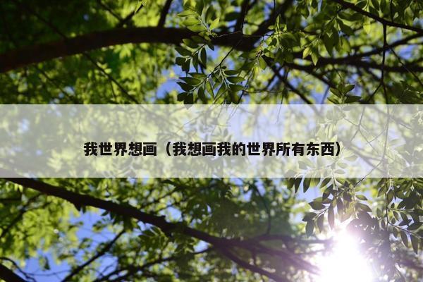 我世界想画（我想画我的世界所有东西）