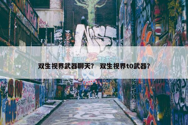 双生视界武器聊天？ 双生视界t0武器？