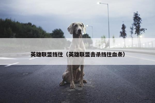 英雄联盟挡住（英雄联盟击杀挡住血条）