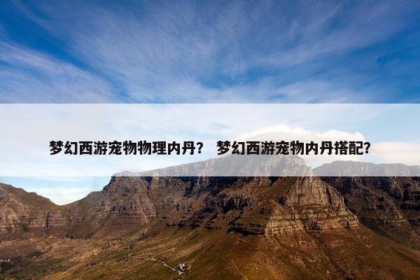 梦幻西游宠物物理内丹？ 梦幻西游宠物内丹搭配？