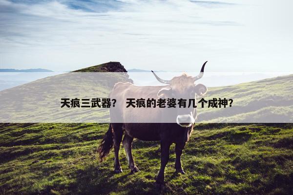 天痕三武器？ 天痕的老婆有几个成神？