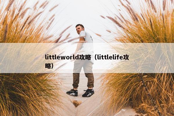 littleworld攻略（littlelife攻略）