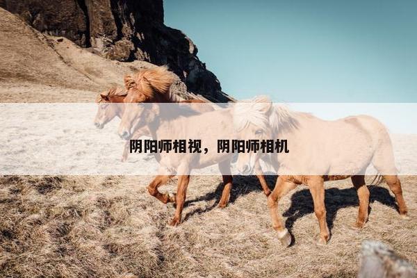 阴阳师相视，阴阳师相机
