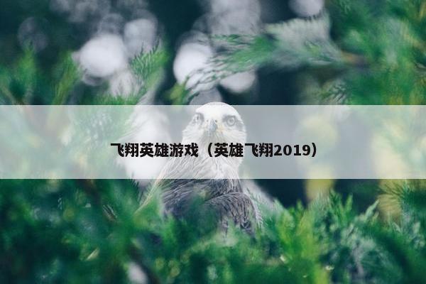 飞翔英雄游戏（英雄飞翔2019）