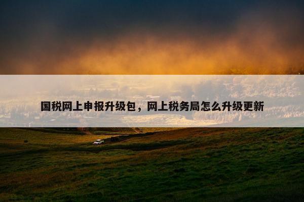 国税网上申报升级包，网上税务局怎么升级更新