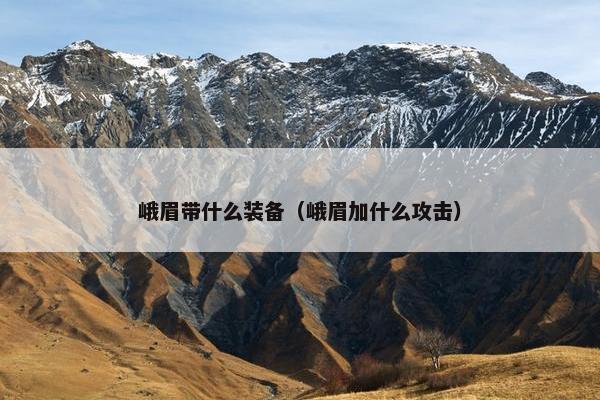 峨眉带什么装备（峨眉加什么攻击）