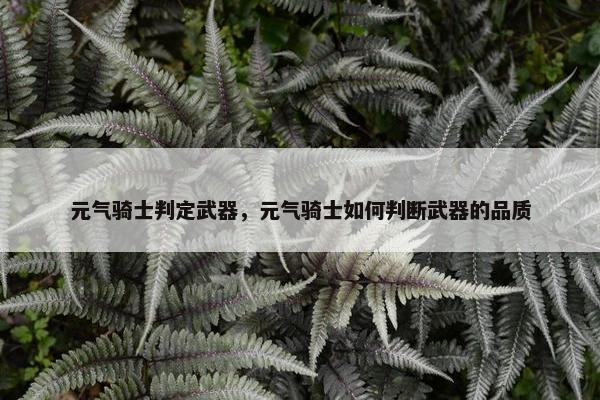 元气骑士判定武器，元气骑士如何判断武器的品质
