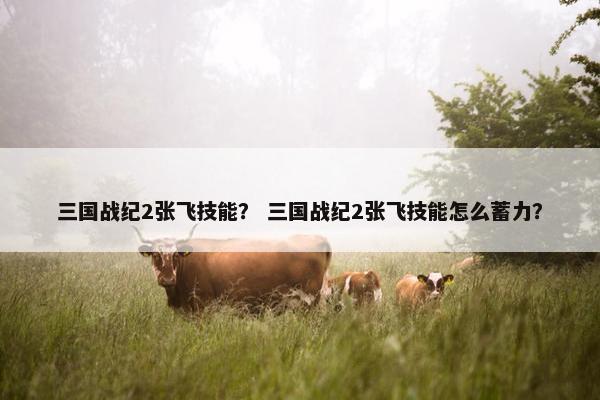 三国战纪2张飞技能？ 三国战纪2张飞技能怎么蓄力？
