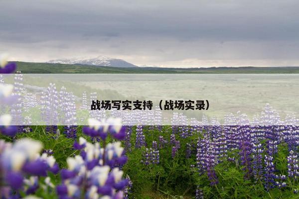 战场写实支持（战场实录）
