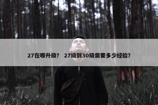 27在哪升级？ 27级到30级需要多少经验？
