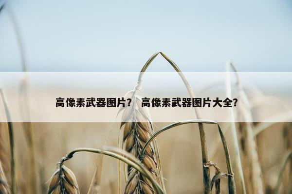 高像素武器图片？ 高像素武器图片大全？
