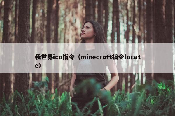 我世界ico指令（minecraft指令locate）