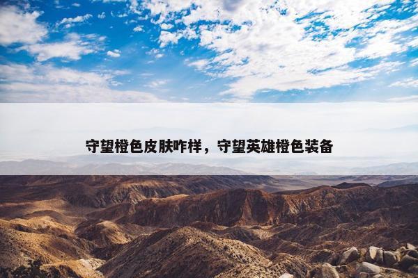 守望橙色皮肤咋样，守望英雄橙色装备