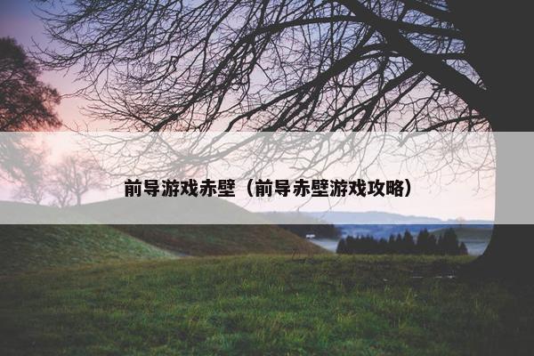 前导游戏赤壁（前导赤壁游戏攻略）