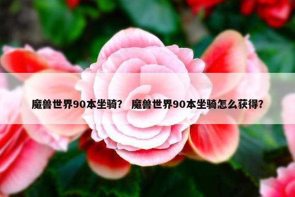 魔兽世界90本坐骑？ 魔兽世界90本坐骑怎么获得？